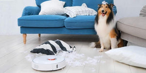 Factors for Pet Owners to Consider When Buying a Robot Vacuum