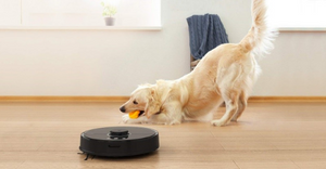 The Five Best Small Cordless Vacuums for Pet Hair in 2019