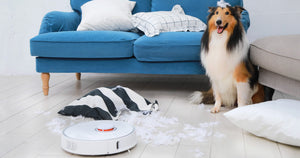 Top 10 Advantages of Using a Robotic Vacuum Cleaner