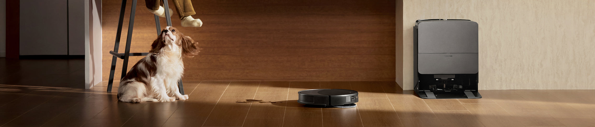 Intelligent Robot Vacuum Cleaner