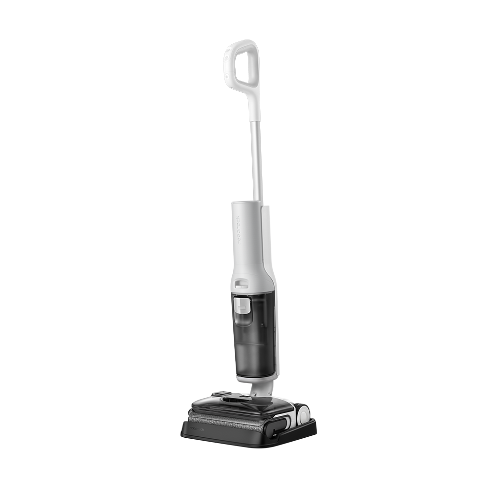 Roborock F25 Pure